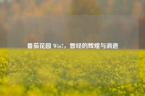 番茄花园 Win7,曾经的辉煌与消逝